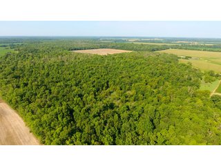 TRACT 7 - ILLINOIS LAND AUCTION - 4,810+/- ACRES OFFERED IN 85 TRACTS IN FRANKLIN, WILLIAMSON, HAMILTON & SALINE COUNTIES, ILLINOIS